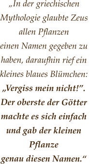 „In der griechischen  Mythologie glaubte Zeus allen Pflanzen  einen Namen gegeben zu haben, daraufhin rief ein kleines blaues Blümchen:  „Vergiss mein nicht!”.  Der oberste der Götter machte es sich einfach  und gab der kleinen Pflanze  genau diesen Namen.“