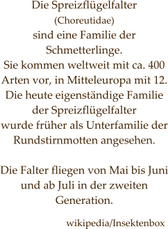 Die Spreizflügelfalter  (Choreutidae)  sind eine Familie der Schmetterlinge.  Sie kommen weltweit mit ca. 400 Arten vor, in Mitteleuropa mit 12. Die heute eigenständige Familie  der Spreizflügelfalter  wurde früher als Unterfamilie der Rundstirnmotten angesehen.  Die Falter fliegen von Mai bis Juni und ab Juli in der zweiten Generation.    wikipedia/Insektenbox