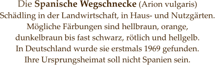 Die Spanische Wegschnecke (Arion vulgaris) Schädling in der Landwirtschaft, in Haus- und Nutzgärten. Mögliche Färbungen sind hellbraun, orange,  dunkelbraun bis fast schwarz, rötlich und hellgelb.  In Deutschland wurde sie erstmals 1969 gefunden.  Ihre Ursprungsheimat soll nicht Spanien sein.
