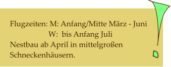 Flugzeiten: M: Anfang/Mitte März - Juni                     W:  bis Anfang Juli Nestbau ab April in mittelgroßen       Schneckenhäusern.