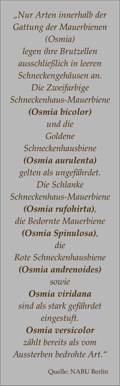 „Nur Arten innerhalb der Gattung der Mauerbienen (Osmia)  legen ihre Brutzellen ausschließlich in leeren Schneckengehäusen an.  Die Zweifarbige  Schneckenhaus-Mauerbiene  (Osmia bicolor) und die Goldene  Schneckenhausbiene  (Osmia aurulenta)  gelten als ungefährdet.  Die Schlanke  Schneckenhaus-Mauerbiene (Osmia rufohirta),  die Bedornte Mauerbiene  (Osmia Spinulosa),  die  Rote Schneckenhausbiene (Osmia andrenoides)  sowie  Osmia viridana  sind als stark gefährdet eingestuft.  Osmia versicolor  zählt bereits als vom  Aussterben bedrohte Art.“  Quelle: NABU Berlin