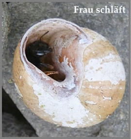 Frau schläft
