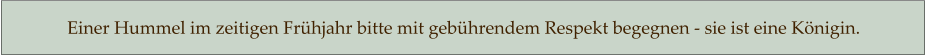 Einer Hummel im zeitigen Frühjahr bitte mit gebührendem Respekt begegnen - sie ist eine Königin.