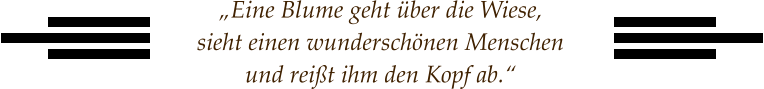 „Eine Blume geht über die Wiese, sieht einen wunderschönen Menschen und reißt ihm den Kopf ab.“